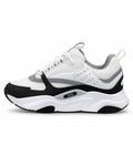 B22 White and Black