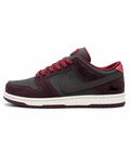 Dunk SB Riot Skateshop