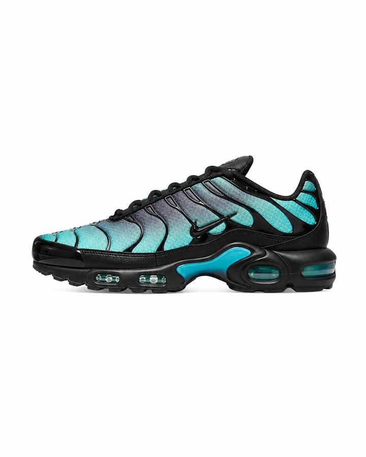 Air Max Plus TN Dusty Cactus