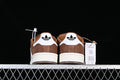 Campus Brown 6