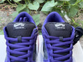 Dunk SB Supreme 94 Purple 5