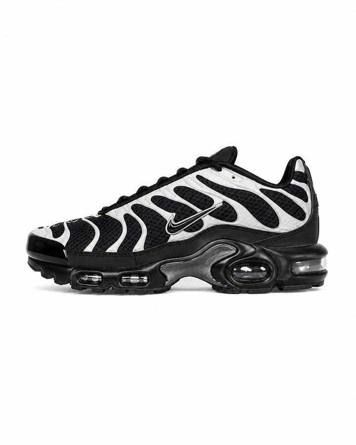 Air Max Plus TN Black and Silver