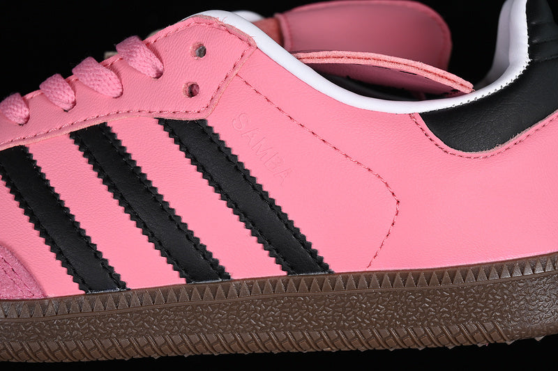 Samba Pink