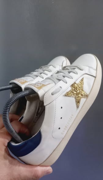 GDGS 2
