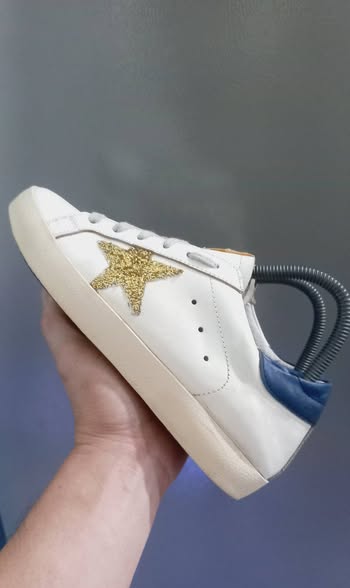 GDGS 2