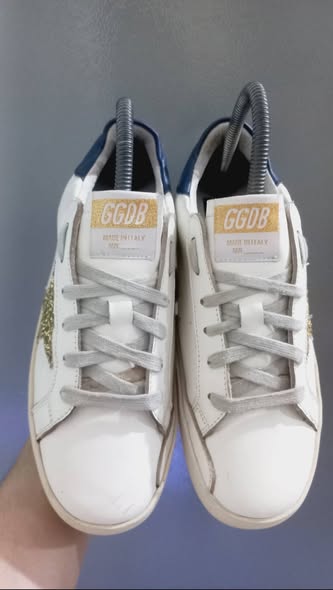 GDGS 2