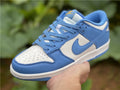 Dunk Low Coast Blue 5