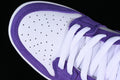Dunk SB Court Purple 5