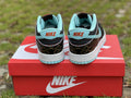 Dunk Low Black and Blue 6