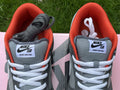 Dunk SB Staple NYC Pigeon 4