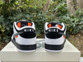 Dunk SB TIGHTBOOTH 6