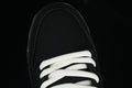 Dunk SB Brown Black And White 4
