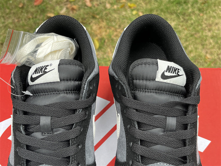 Dunk SB Black And White