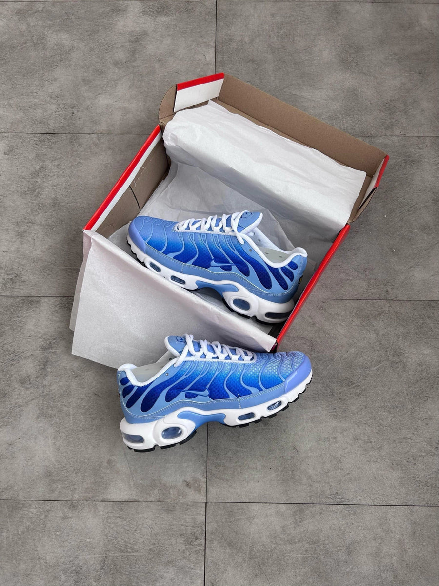 Air Max Plus TN Blue