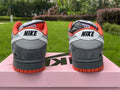 Dunk SB Staple NYC Pigeon 6
