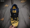 Dunk SB 5