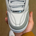 Skate Silver 3