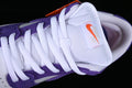 Dunk SB Court Purple 4