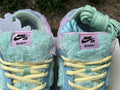 Dunk SB Verdy Visty 5