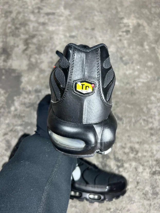 Air Max Plus TN Multi Swoosh