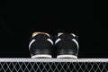 Dunk SB Brown Black And White 6