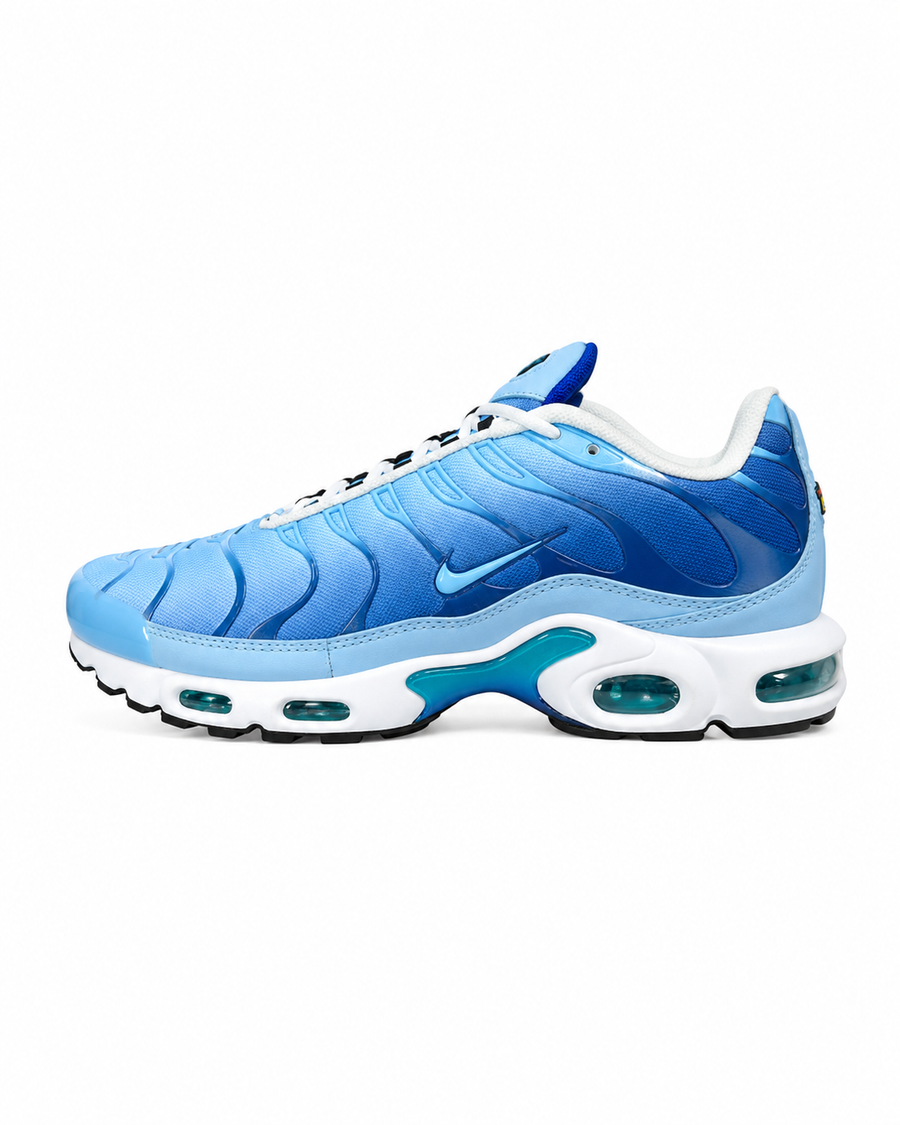 Air Max Plus TN Blue