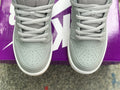 Dunk SB Wolf Grey Gum 4