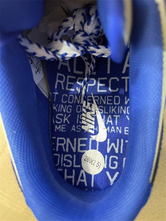 Dunk SB in the Racer Blue and Coconut