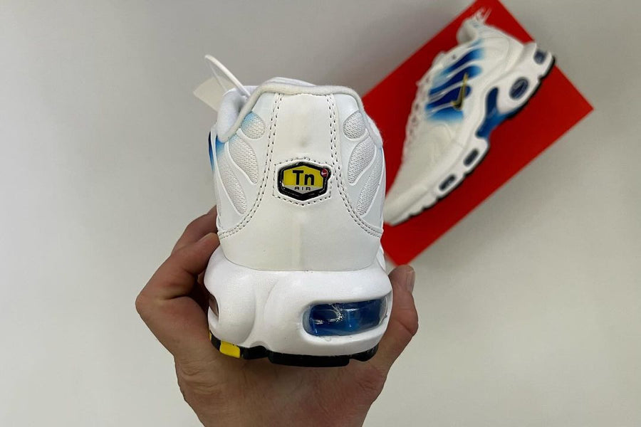 Air Max Plus TN University Blue Gold