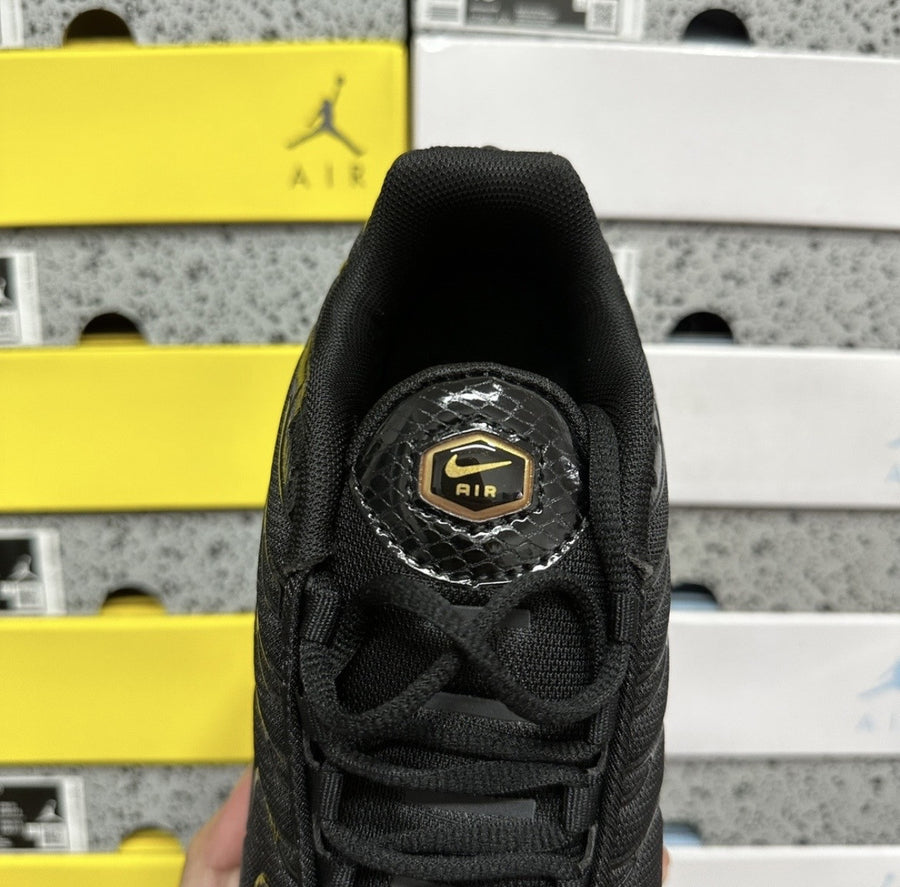 Air Max Plus TN Black and Metallic Gold