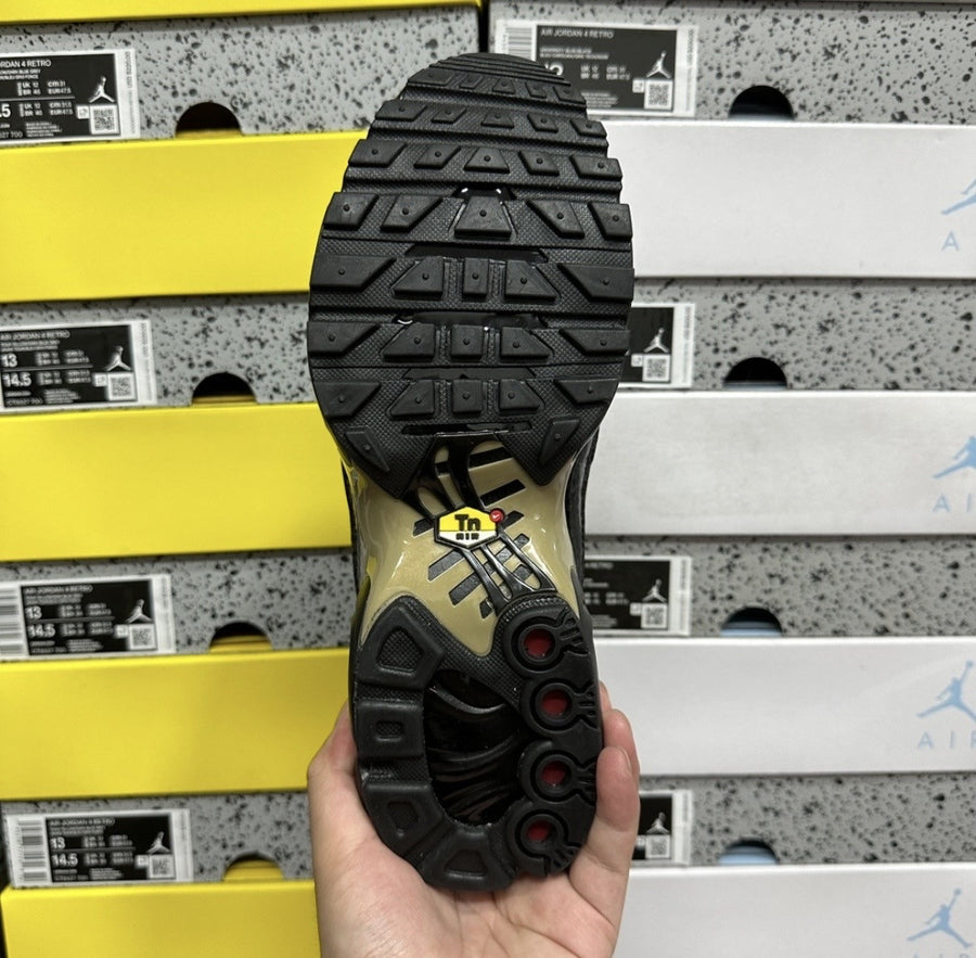 Air Max Plus TN Black and Metallic Gold