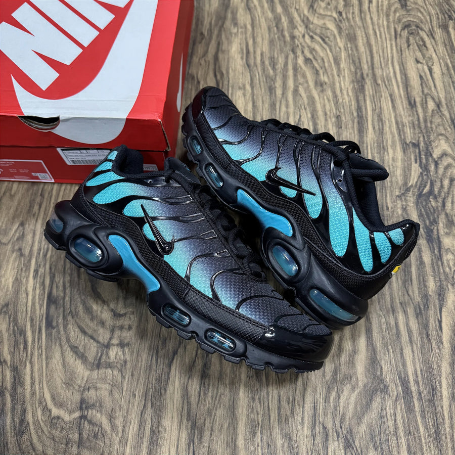 Air Max Plus TN Dusty Cactus