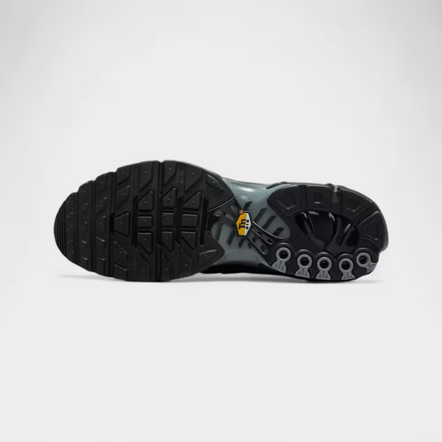 Air Max Plus TN Paris