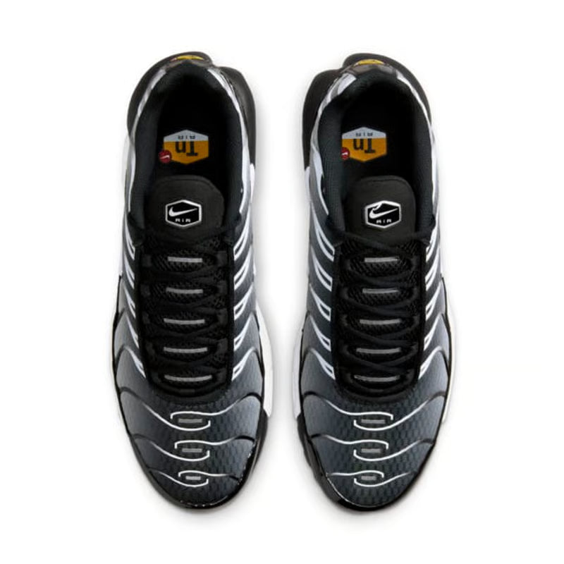 Air Max Plus TN Metalic Silver