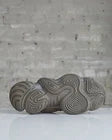500 Mountain Wild Palm