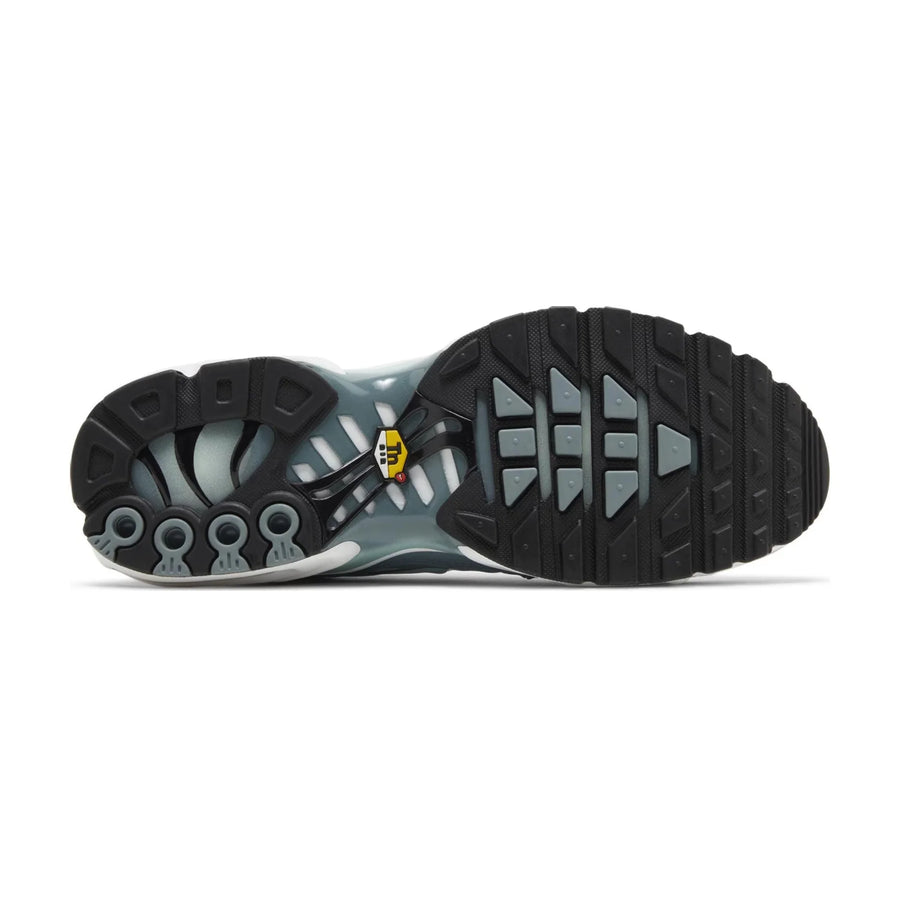 Air Max Plus TN Waterway